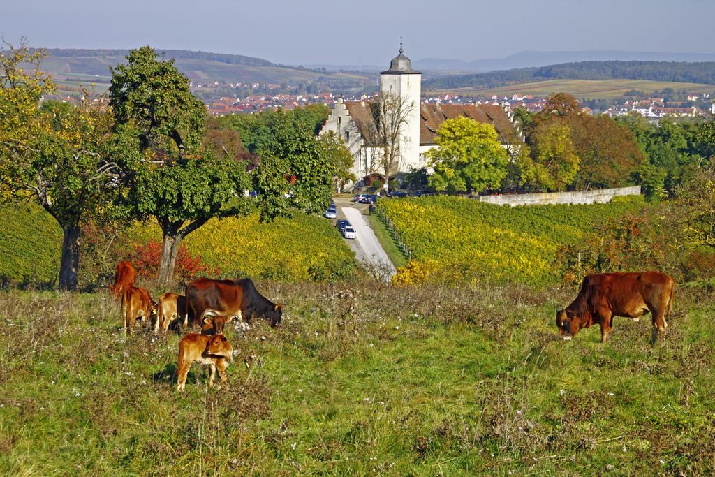 Flair-Hotel Zum Benediktiner Schwarzach am Main Eksteriør bilde